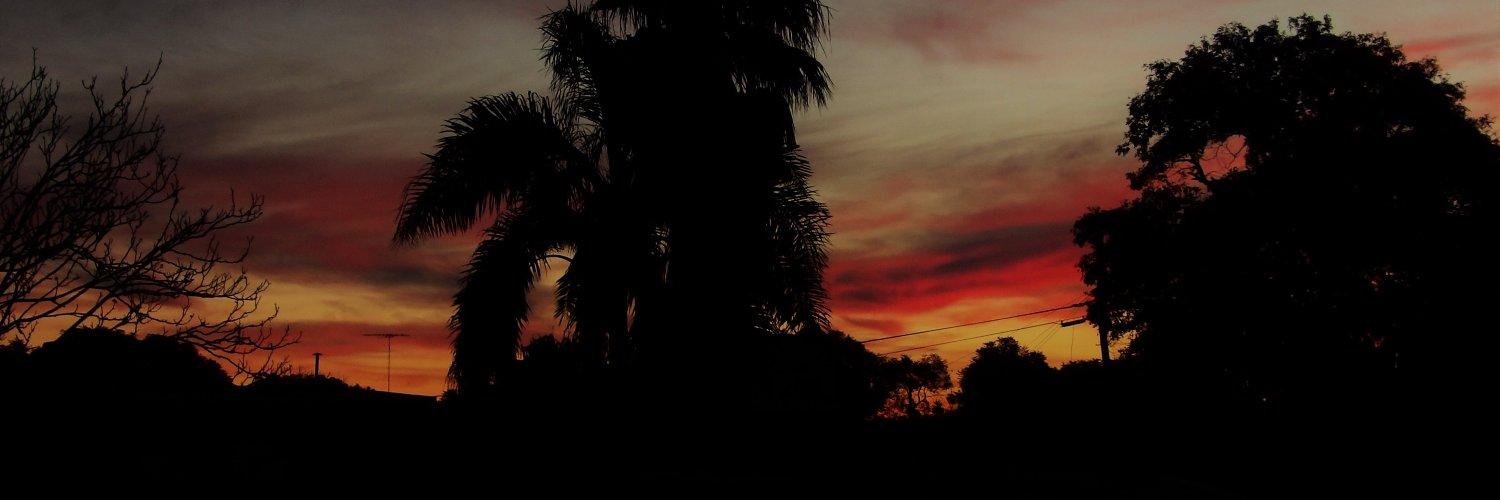 ChiroRepetto's profile banner image