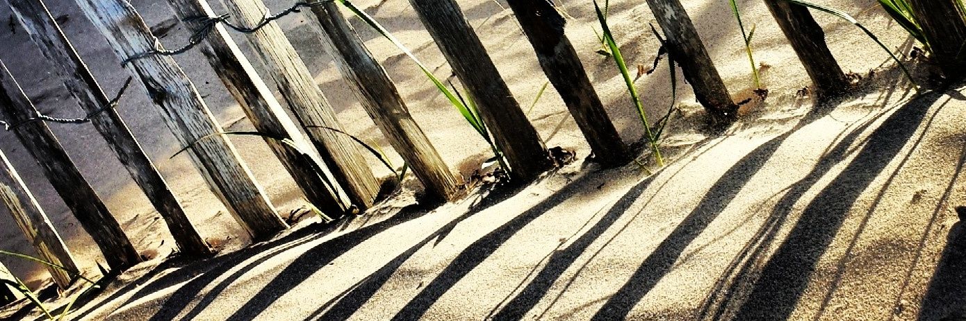 FraserJeffcott's profile banner image