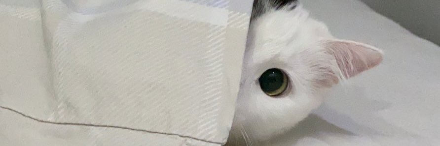 fatmanurerdal's profile banner image