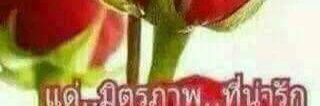 bxavnr's profile banner image