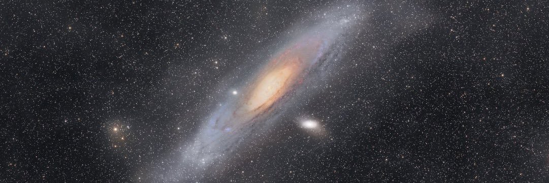 Michael Carter banner