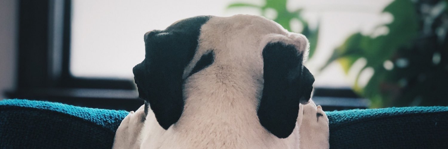 Likeable Mike banner