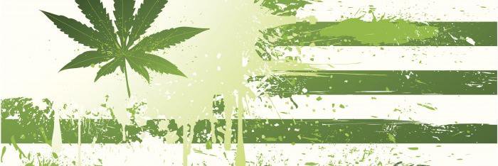 Cannapolitics's profile banner image