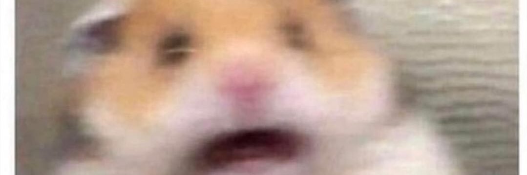 KailiSydneyNow's profile banner image