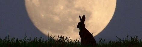 すあまパン banner