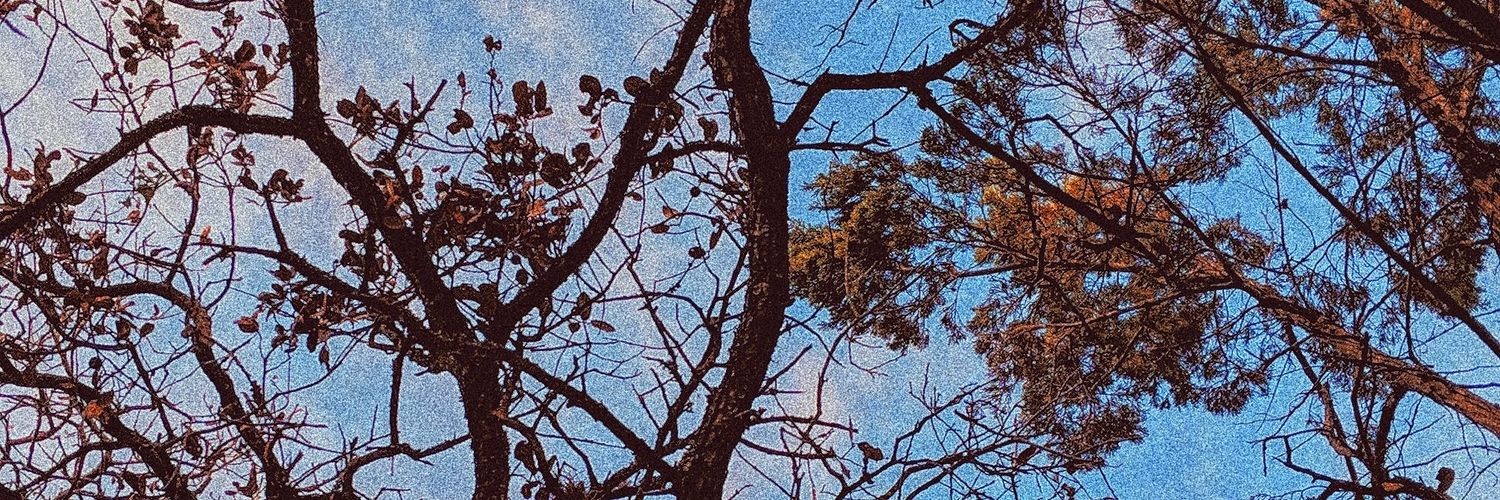GerritStapleton's profile banner image