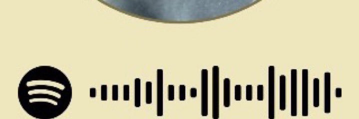 thurm_wftb's profile banner image