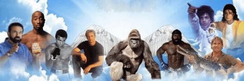 timreading14's profile banner image