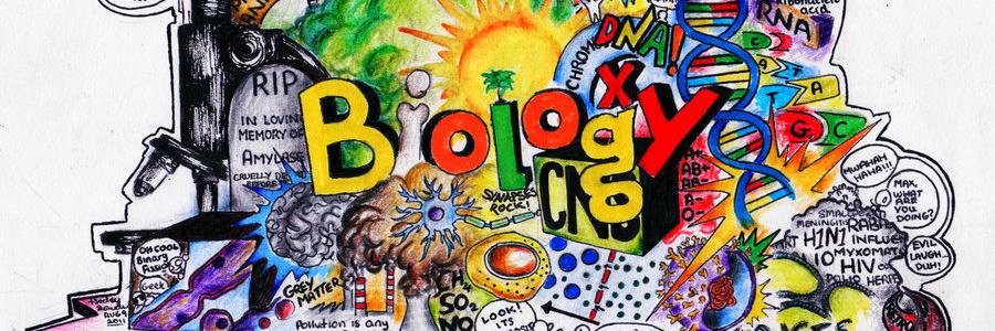 KingBiologist's profile banner image