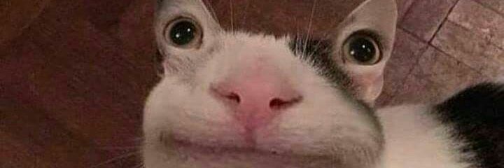CayJah_'s profile banner image