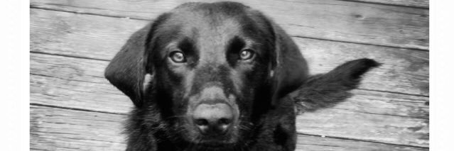 Matthew_Allen4's profile banner image
