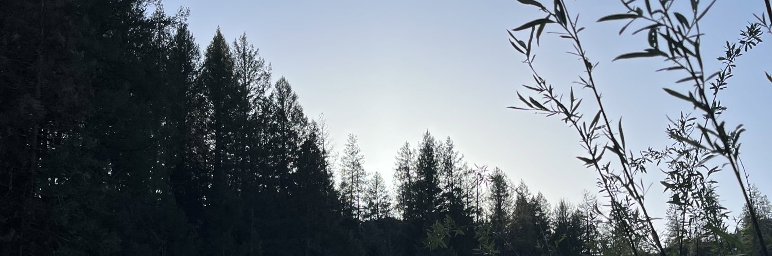 ComplainyBitch's profile banner image