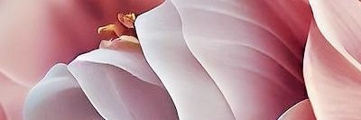 MinaeIle's profile banner image