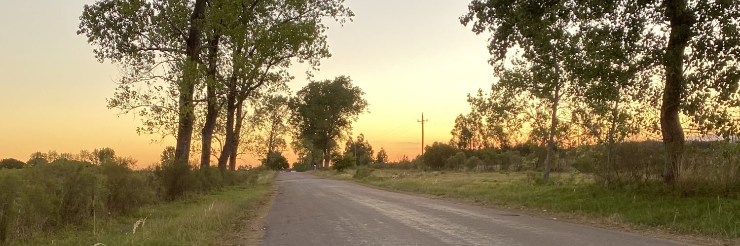 LucianaColina's profile banner image
