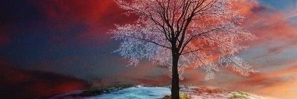 von_Brunn's profile banner image