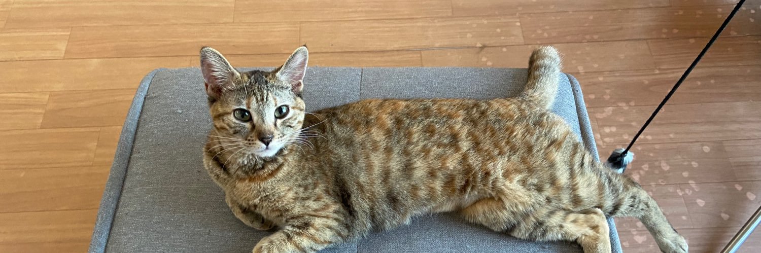 yoppapa（酔っパパ） banner