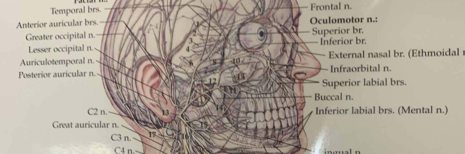 farooqvance's profile banner image