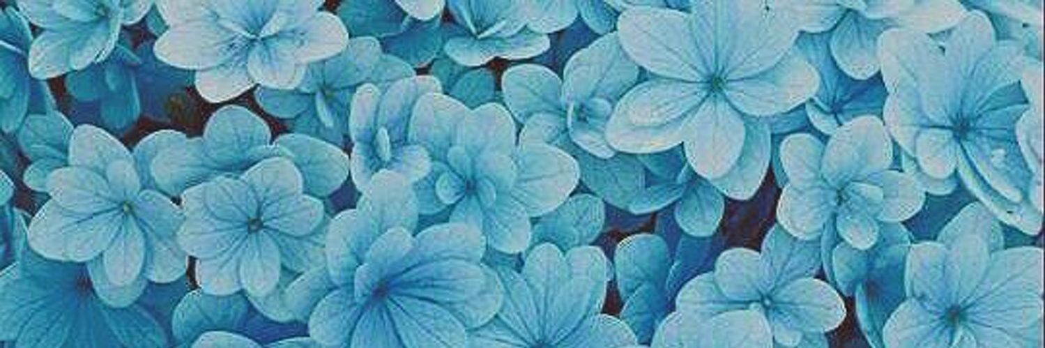 AlexaB1012's profile banner image