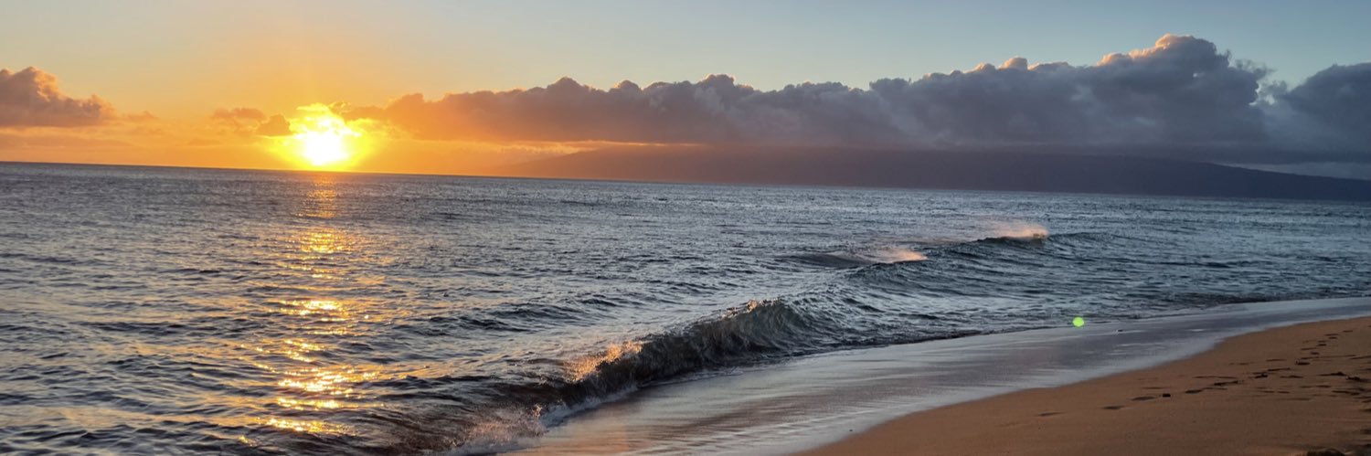 Brittany Gilliam banner