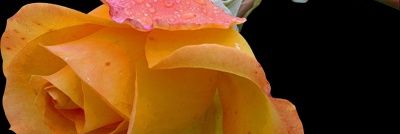 BorisGrozav's profile banner image