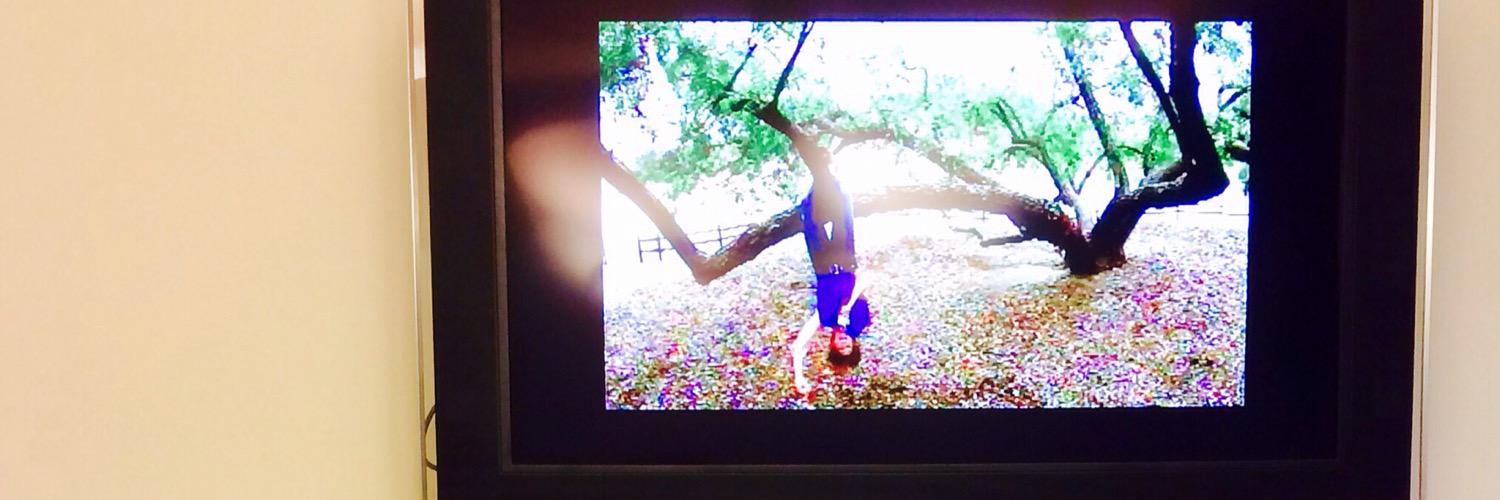 Laura Nickerson banner