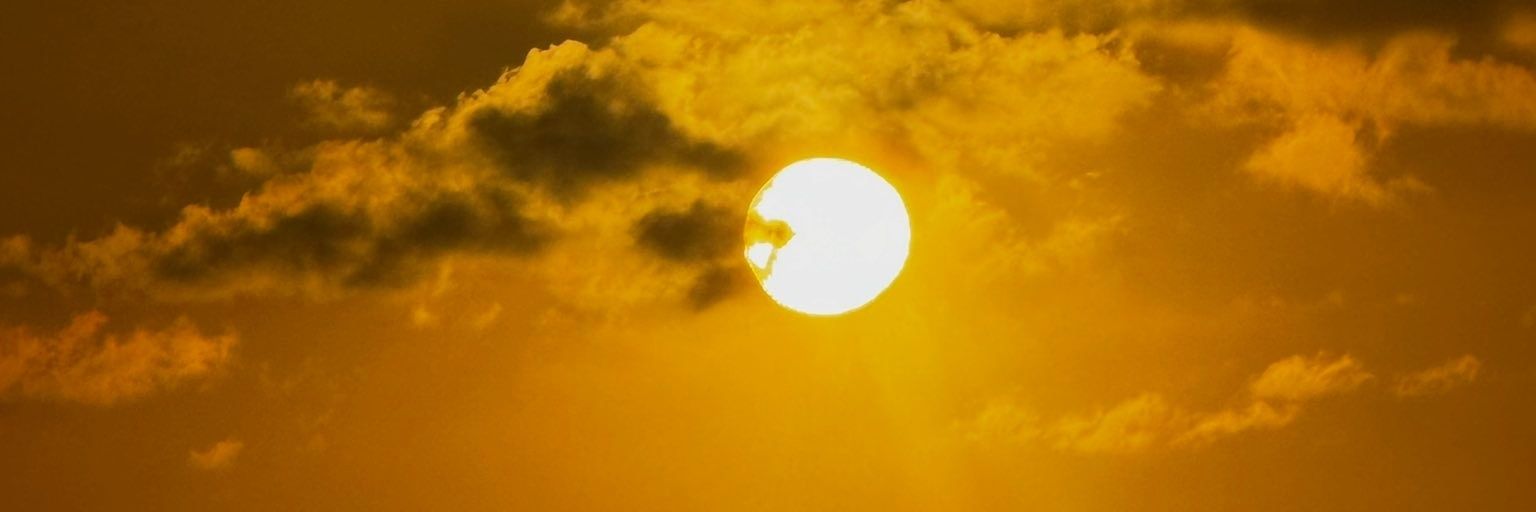 ♔ RivaShane ♔ banner