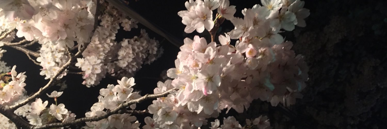 B8vSk's profile banner image