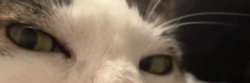 𝚁𝚎𝚛𝚎 banner