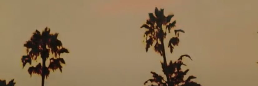 hiagoferr's profile banner image