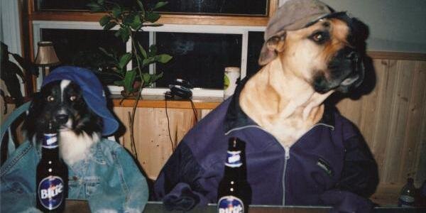 torads's profile banner image