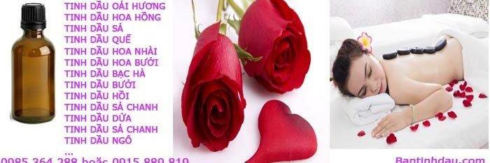 Sun Pro 🐉 $MON banner