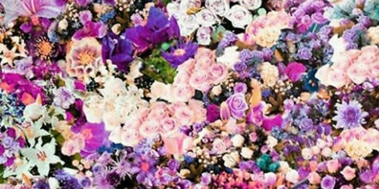 KarlaaSusan's profile banner image