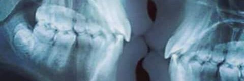 Grace_eeh's profile banner image