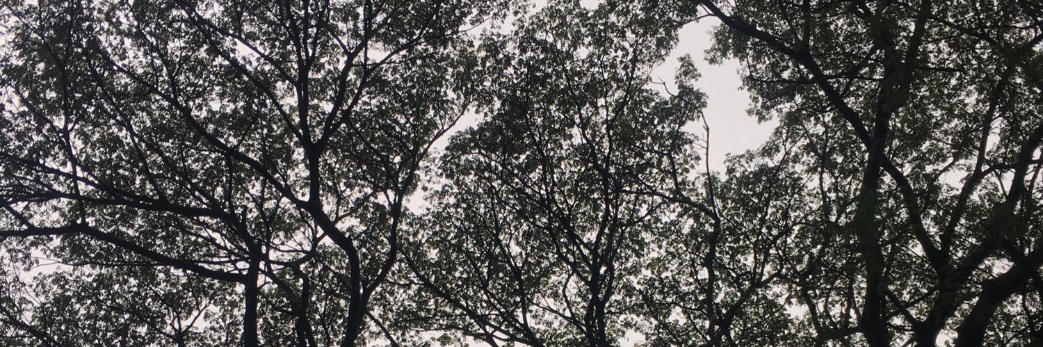 SolihinElrahmat's profile banner image