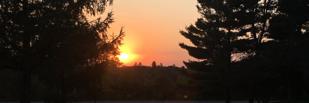 gracemdavidson's profile banner image
