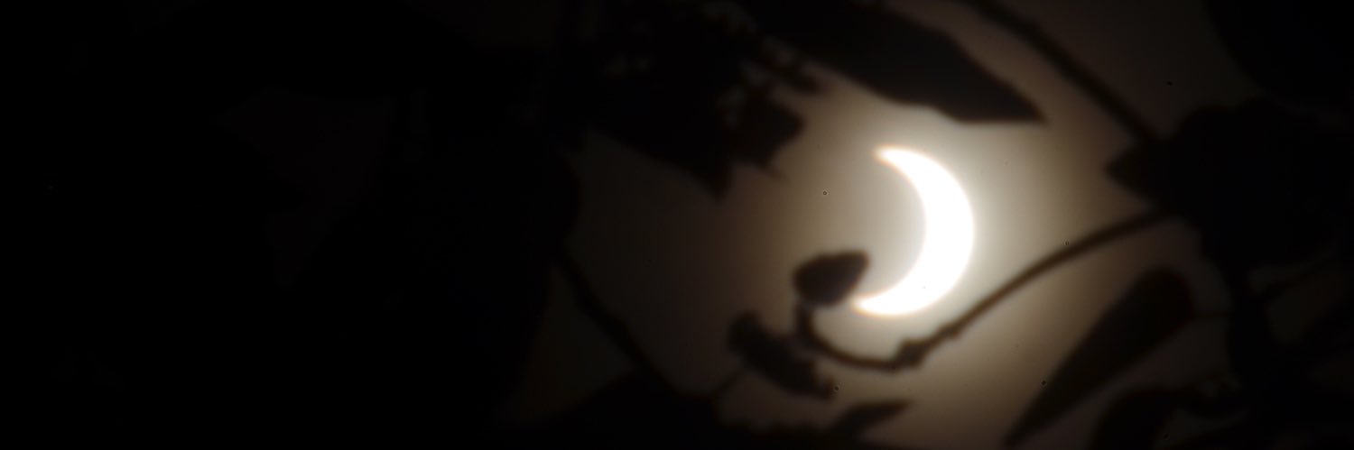 ʕ·͡ˑ·ཻʔ Le duke Violent banner