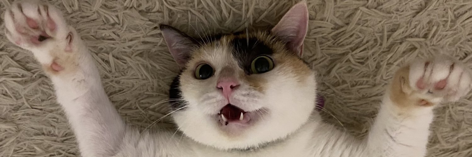 izzsmn's profile banner image