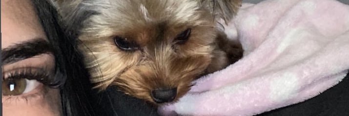 bkxw_'s profile banner image