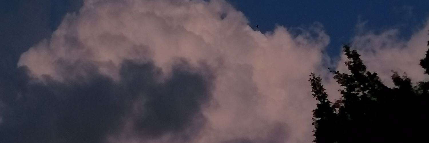 shsshsh123's profile banner image
