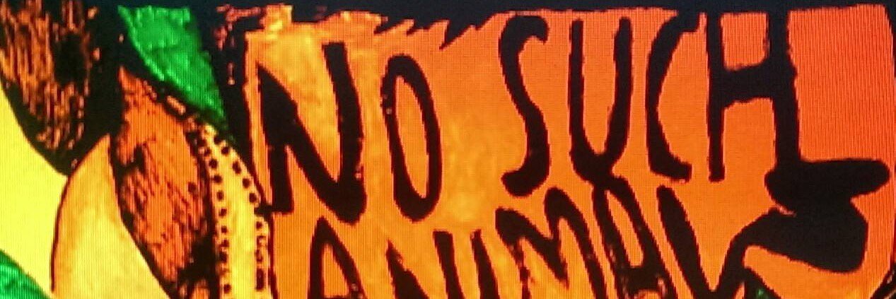 NoSuchAnimals's profile banner image