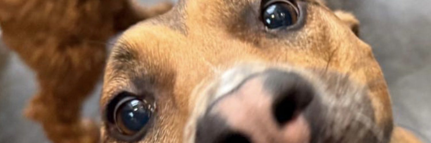 Mark_Philipson's profile banner image