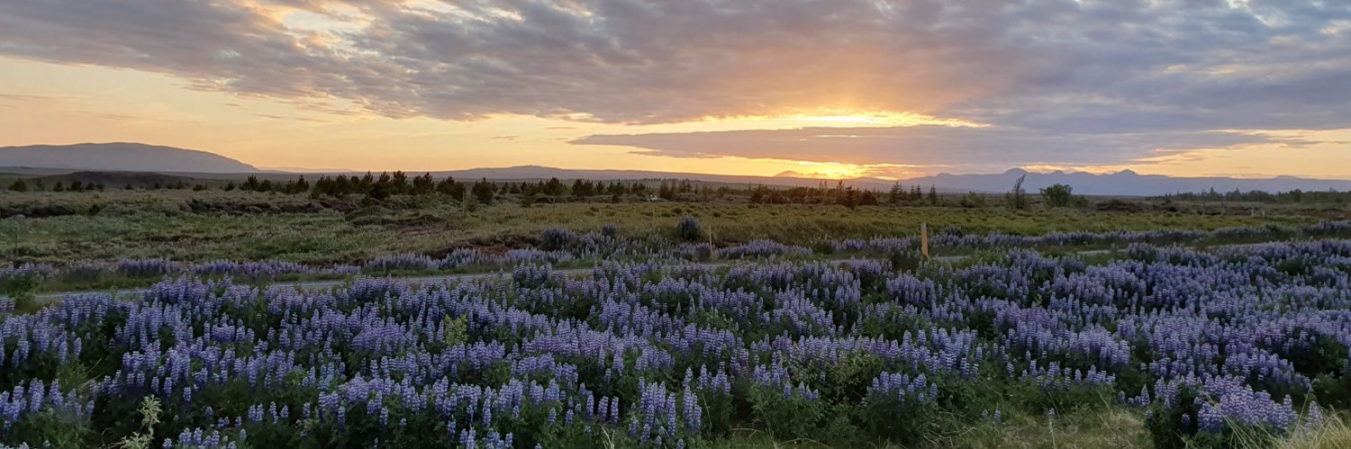 Bhuvan Bagga 把奥文 banner