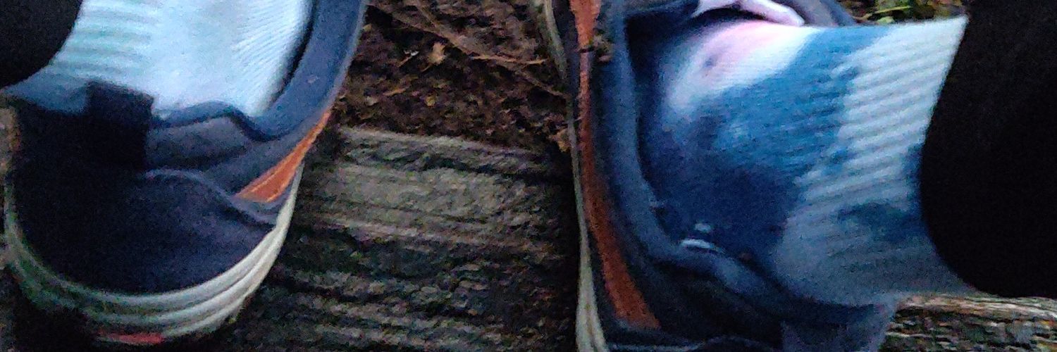 TurtleM0on's profile banner image