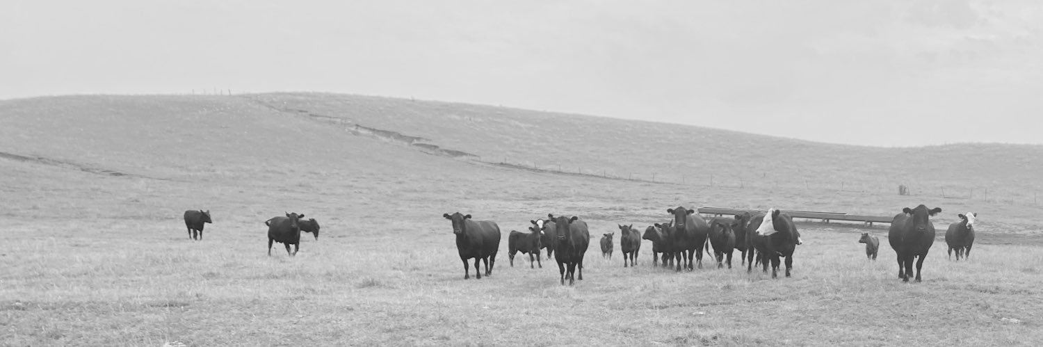 morwhitegan's profile banner image