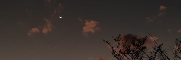 pinkpriii's profile banner image