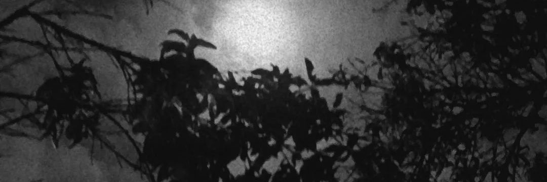 CharlieCrz's profile banner image