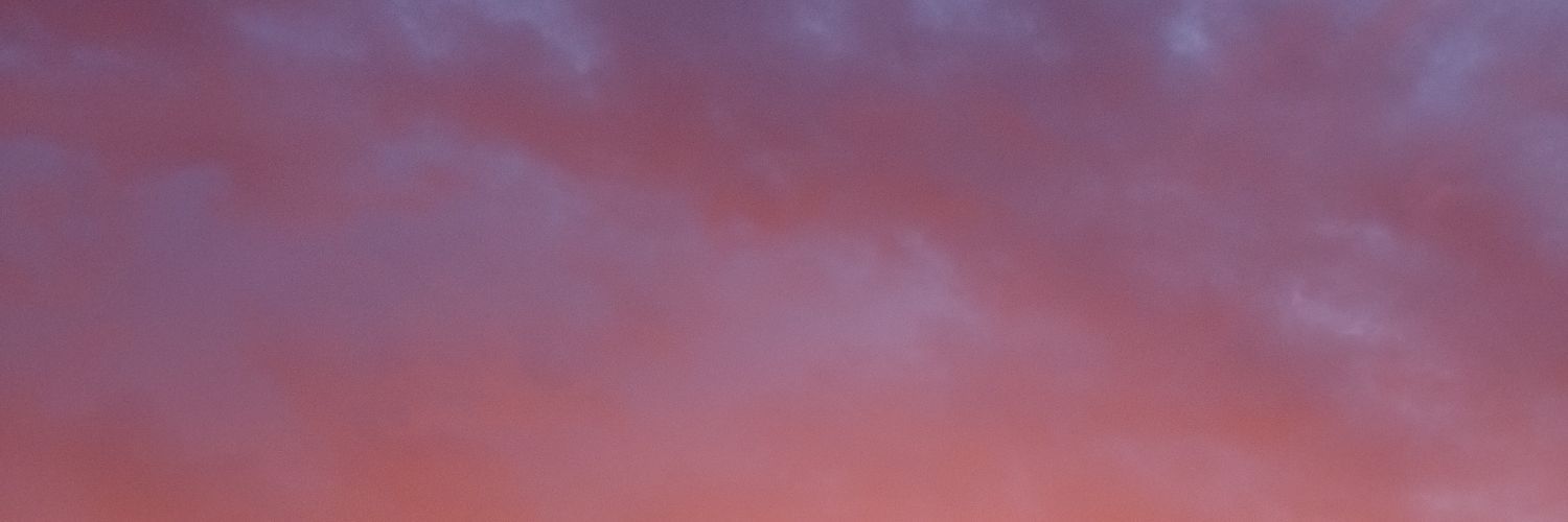 serrotnn's profile banner image