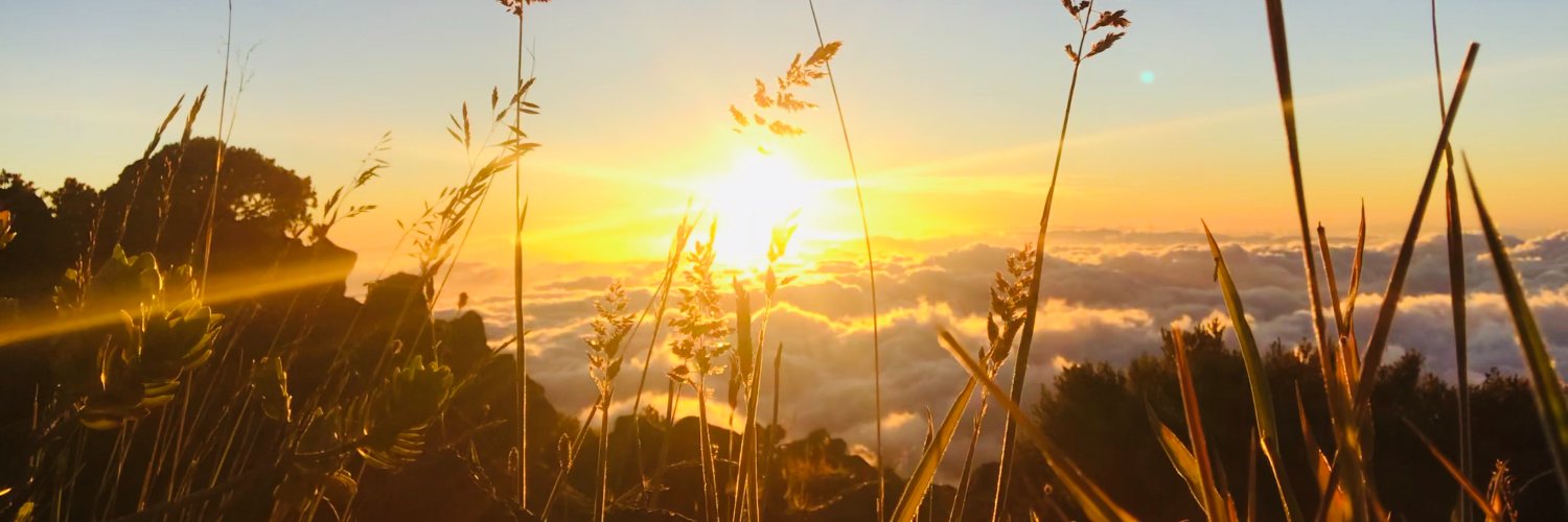 StacyCJones's profile banner image