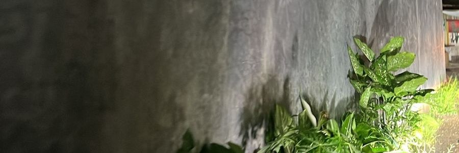 majidskaists's profile banner image