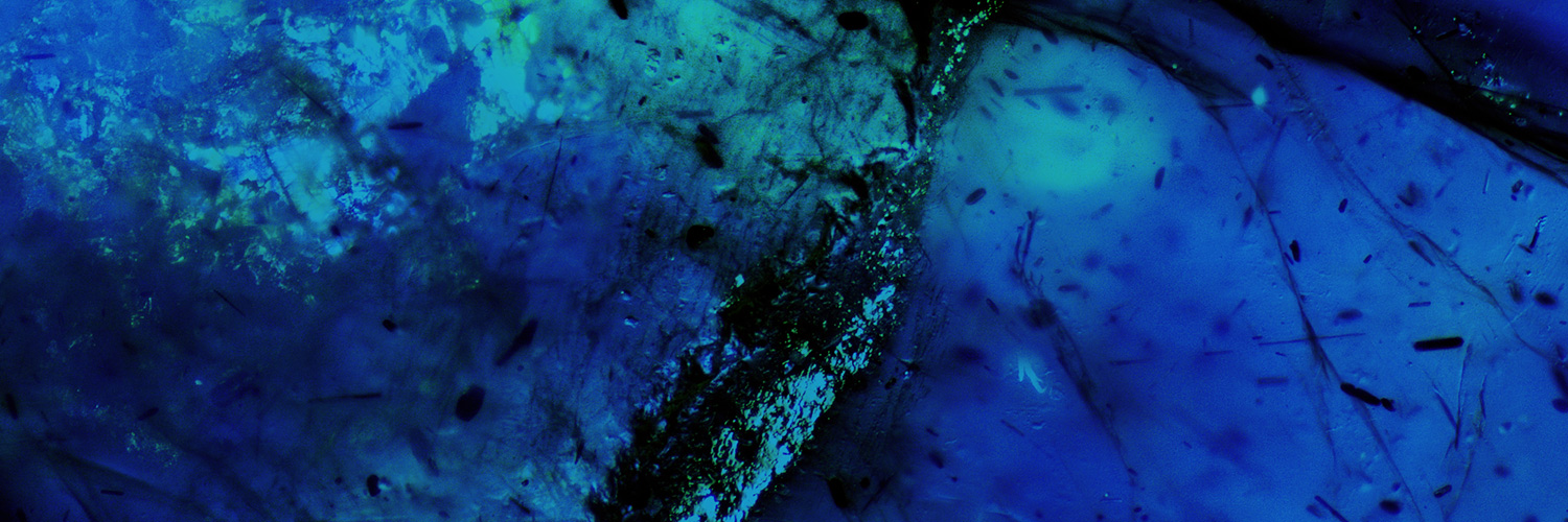 Our Changing World banner